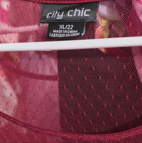 🍁🍂NWOT CITY CHIC 22 RUBY LACE BLOUSE - Picture 3 of 6